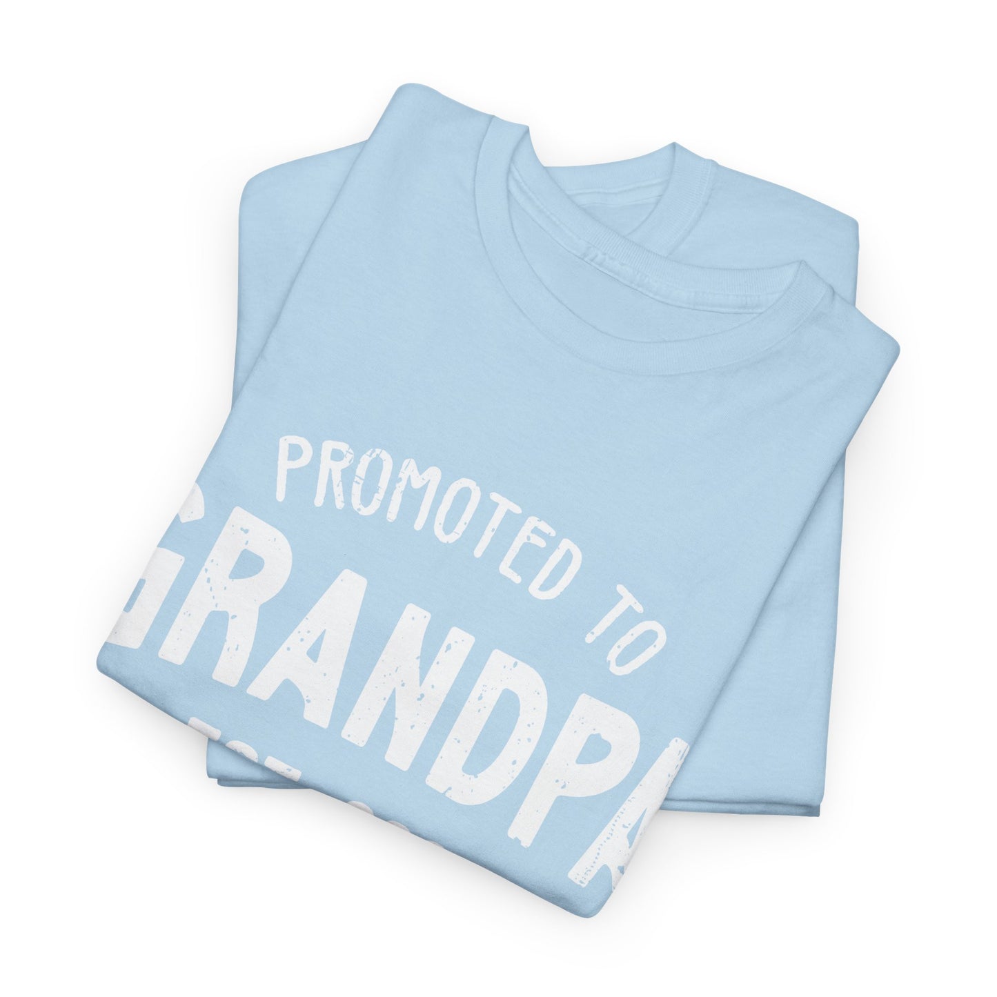 Promoted to Grandpa est 2025 T-Shirt