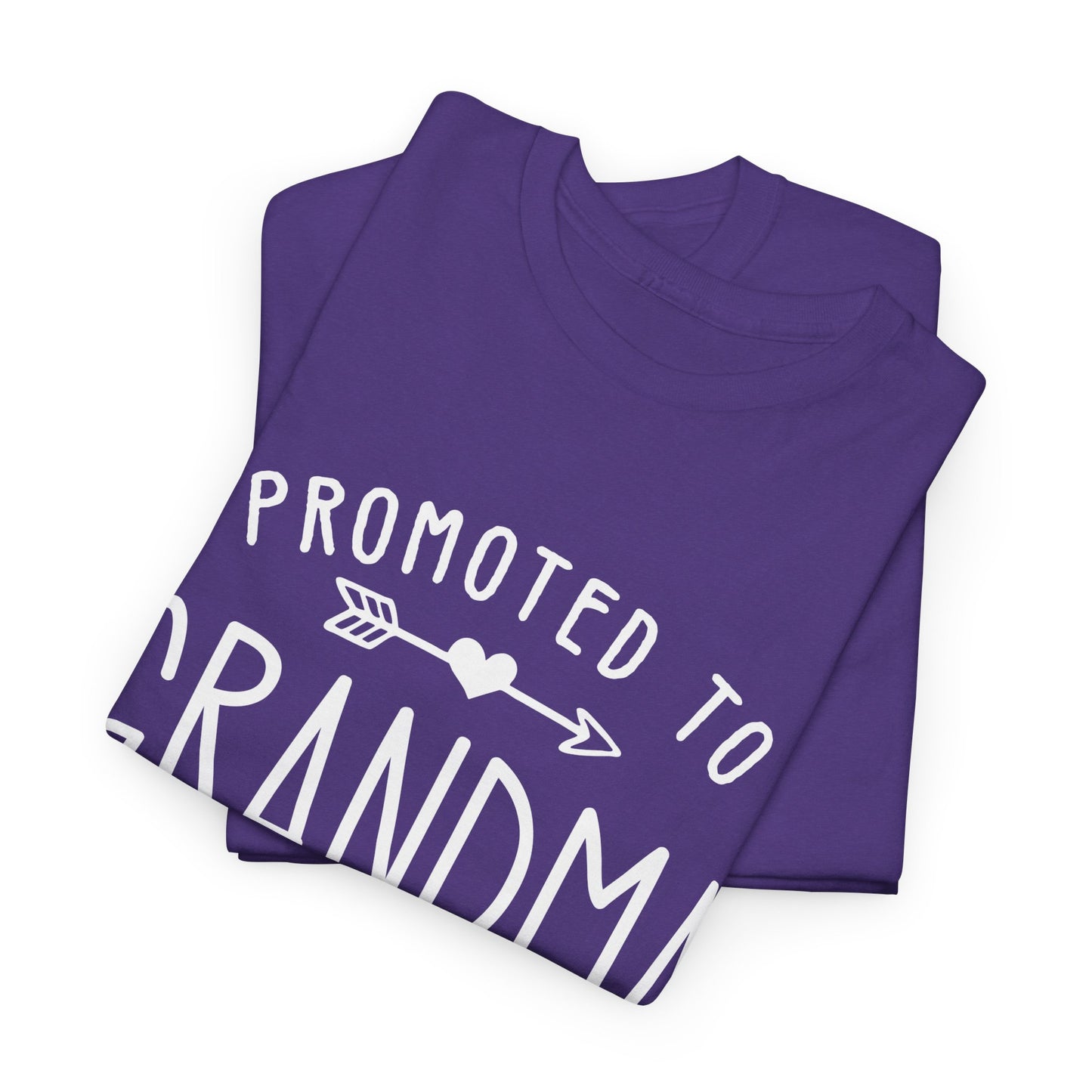 Promoted to Grandma 2025 T-Shirt