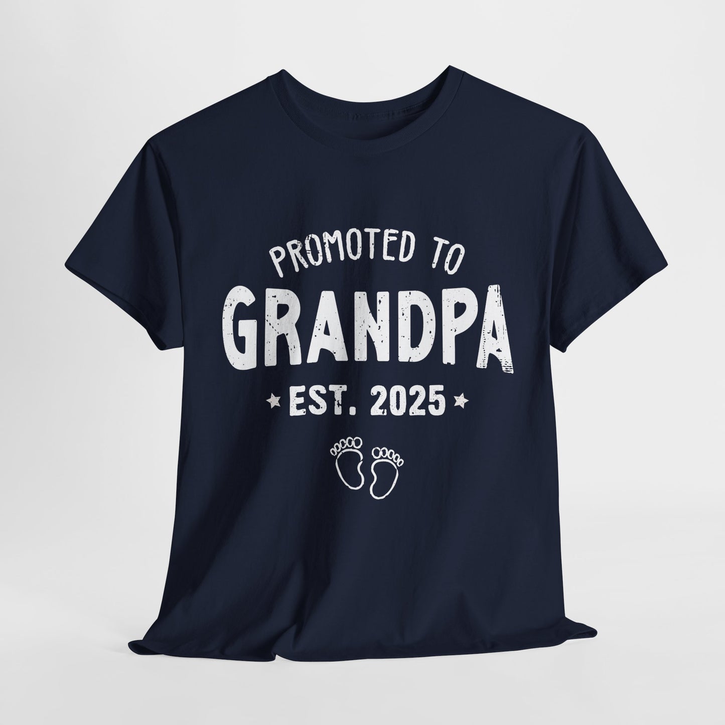 Promoted to Grandpa est 2025 T-Shirt