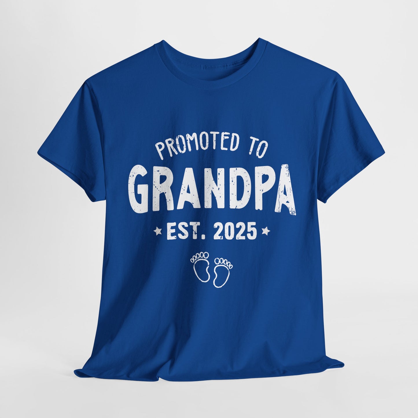 Promoted to Grandpa est 2025 T-Shirt
