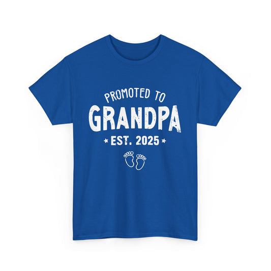 Promoted to Grandpa est 2025 T-Shirt