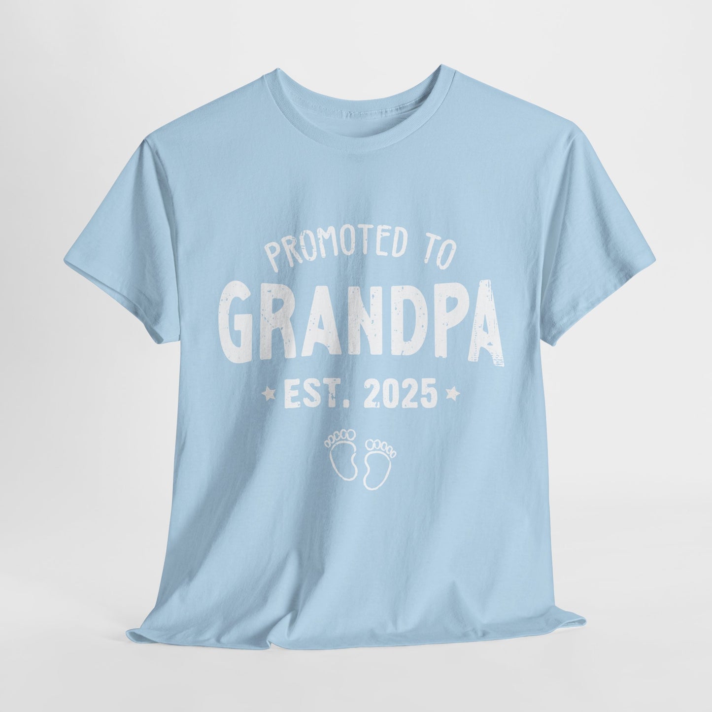 Promoted to Grandpa est 2025 T-Shirt