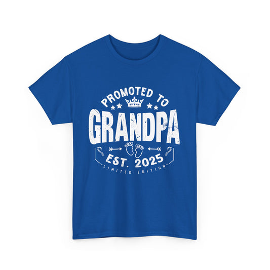 Promoted to Grandpa 2025 Vintage T-shirt