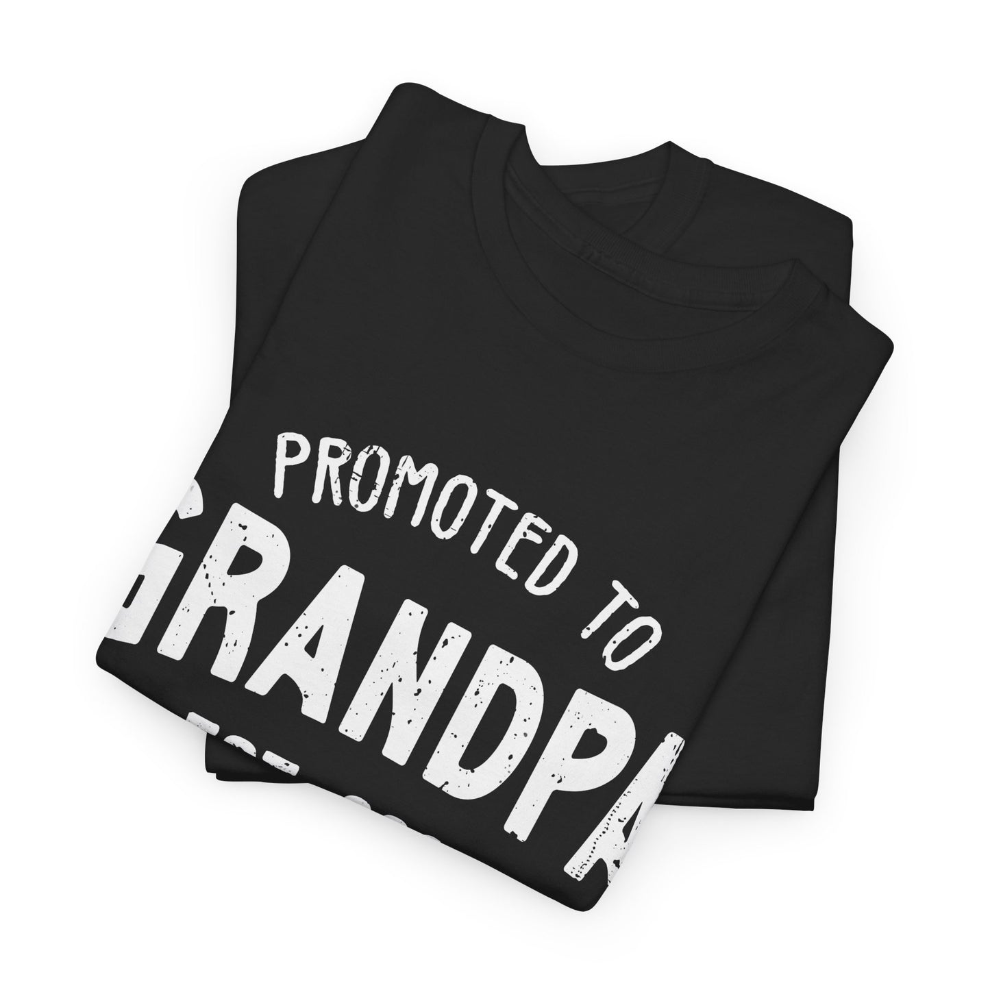 Promoted to Grandpa est 2025 T-Shirt