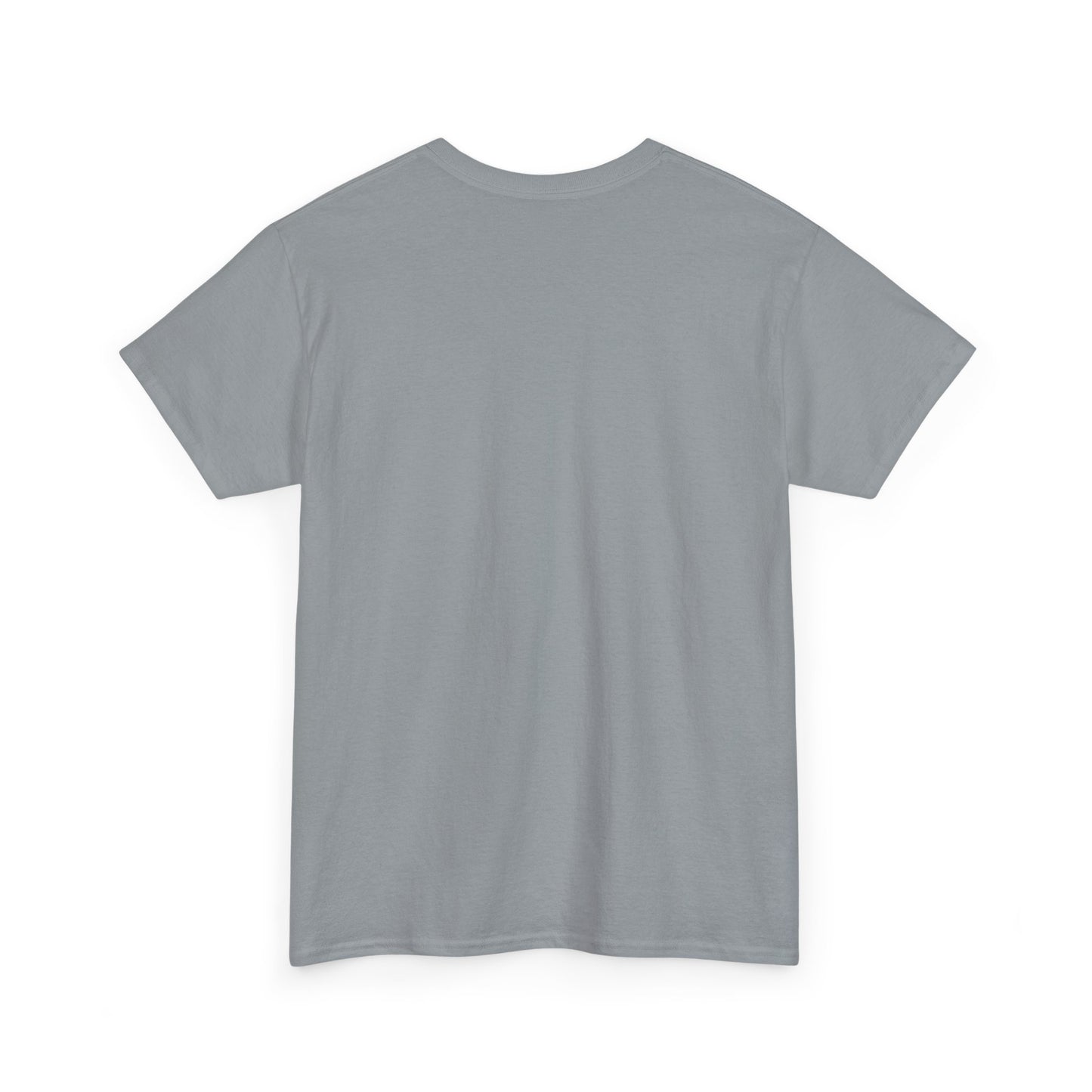 Promoted to Grandpa est 2025 T-Shirt