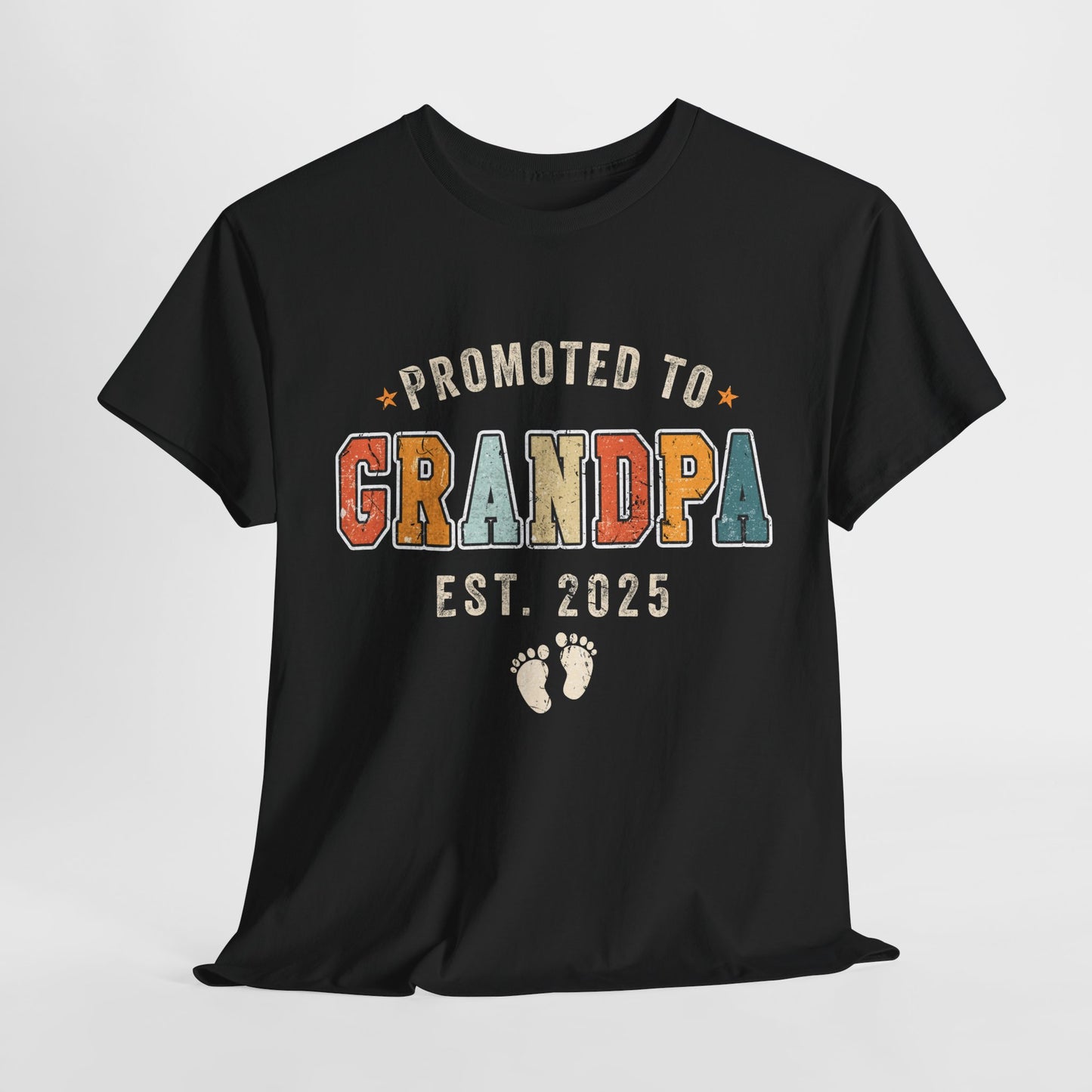 Promoted to Grandpa 2025 Retro T-Shirt