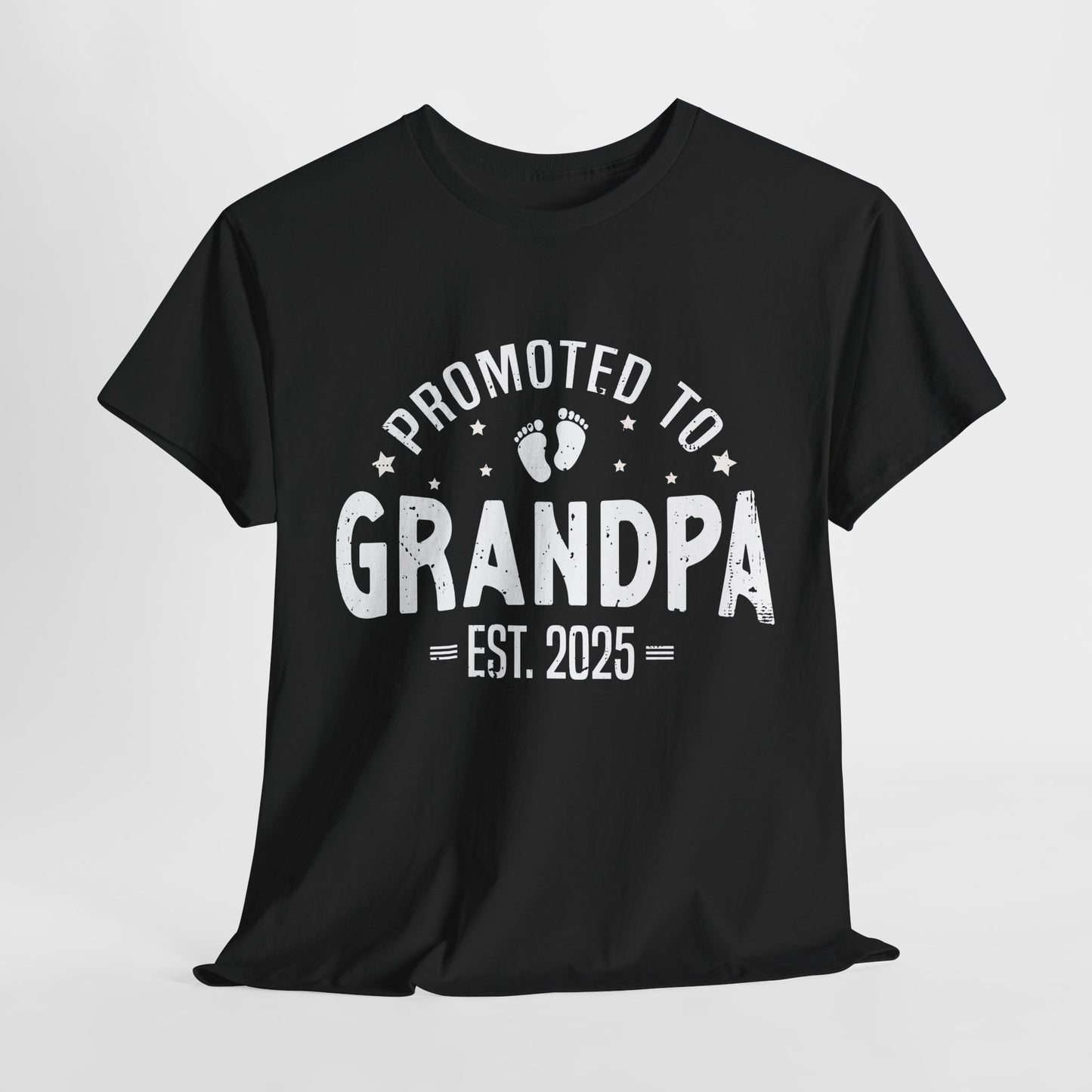 Promoted to Grandpa est 2025 T-shirt