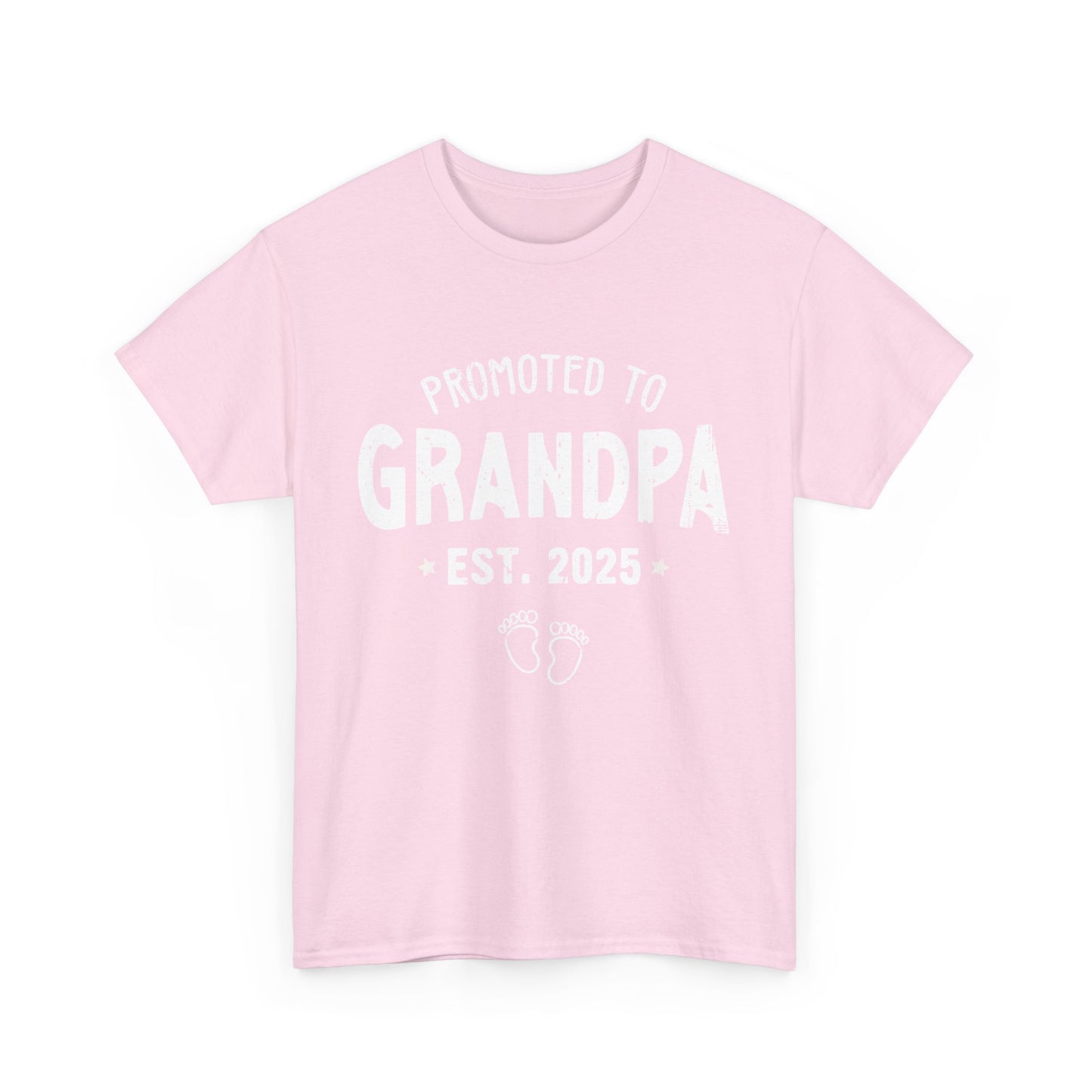 Promoted to Grandpa est 2025 T-Shirt