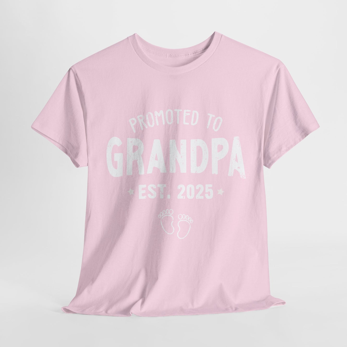 Promoted to Grandpa est 2025 T-Shirt