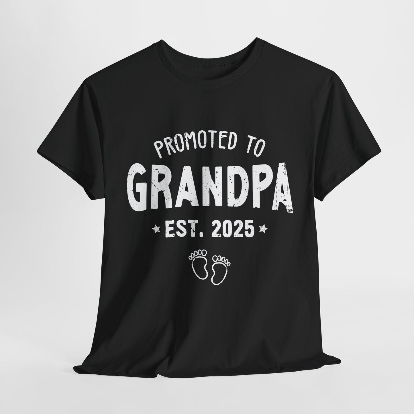 Promoted to Grandpa est 2025 T-Shirt