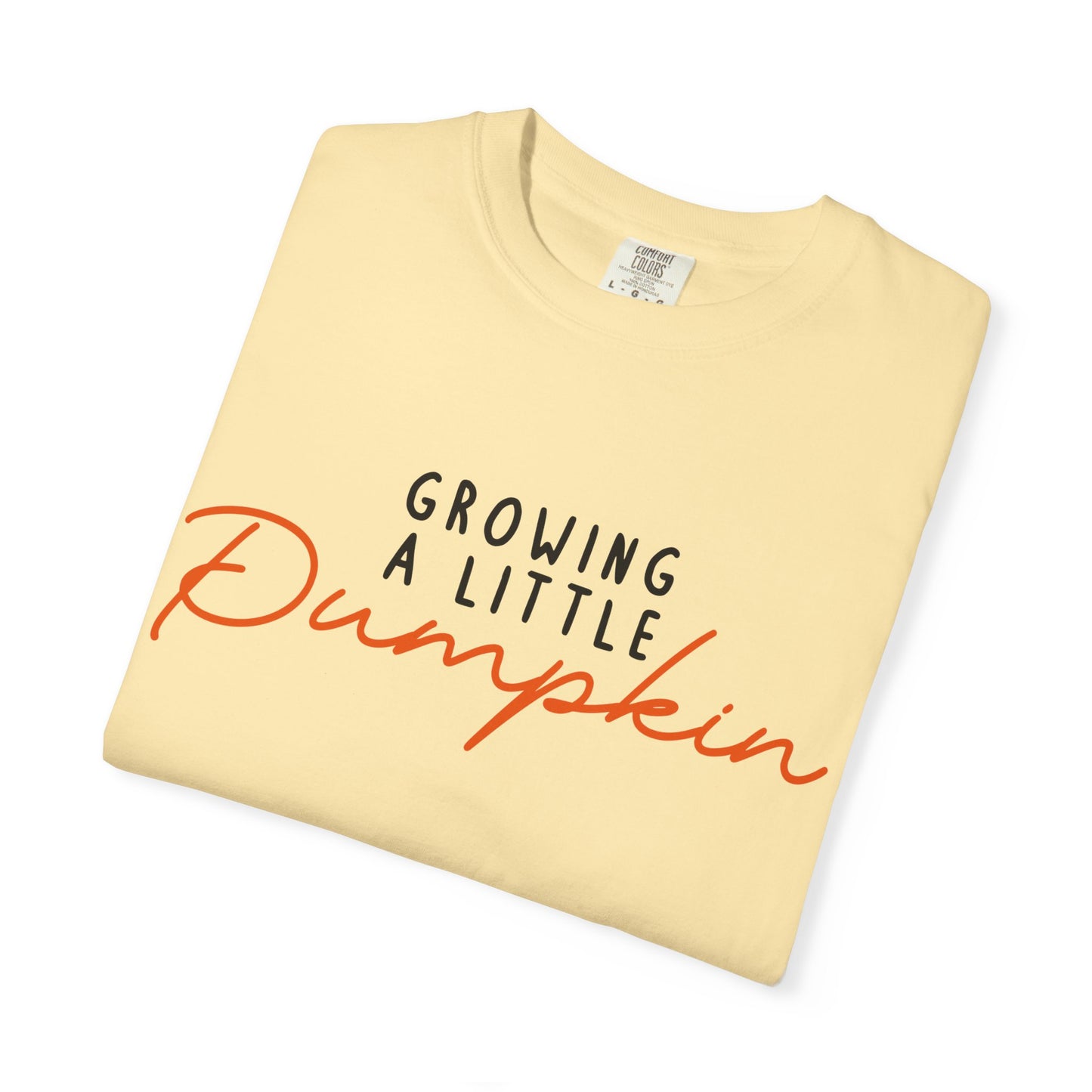 Growing a Little Pumpkin est 2026 T-Shirt Fall