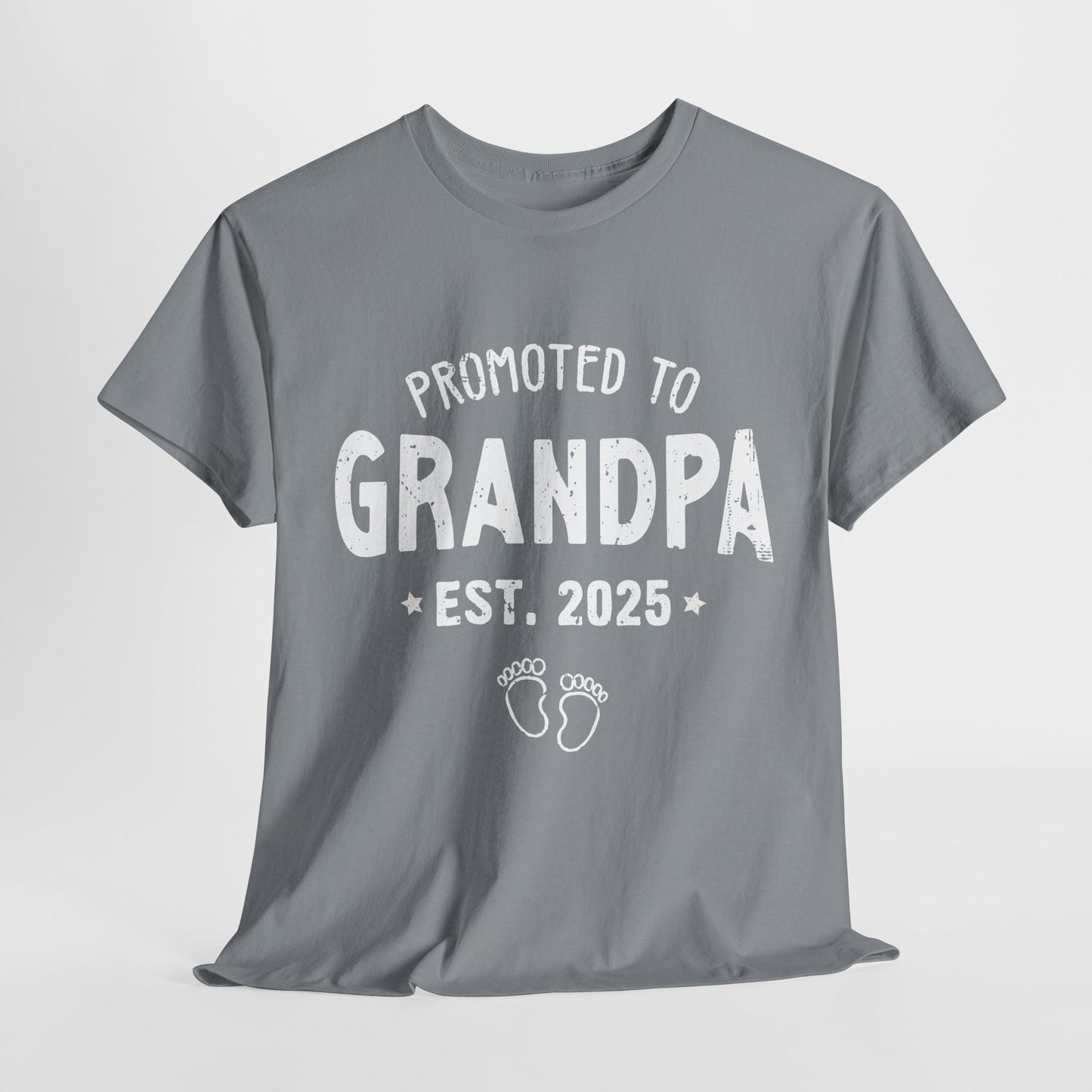 Promoted to Grandpa est 2025 T-Shirt