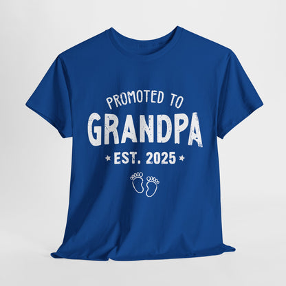 Promoted to Grandpa est 2025 T-Shirt