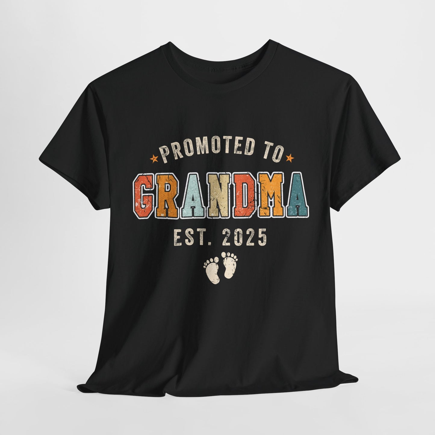 Promoted to Grandma 2025 Retro T-shirt