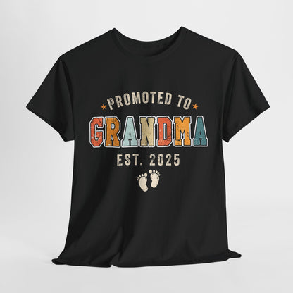 Promoted to Grandma 2025 Retro T-shirt