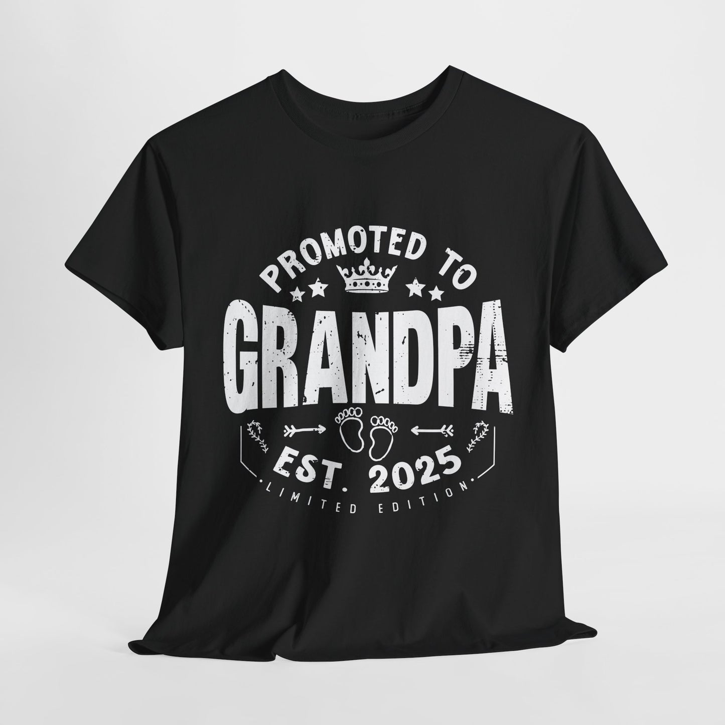 Promoted to Grandpa 2025 Vintage T-shirt