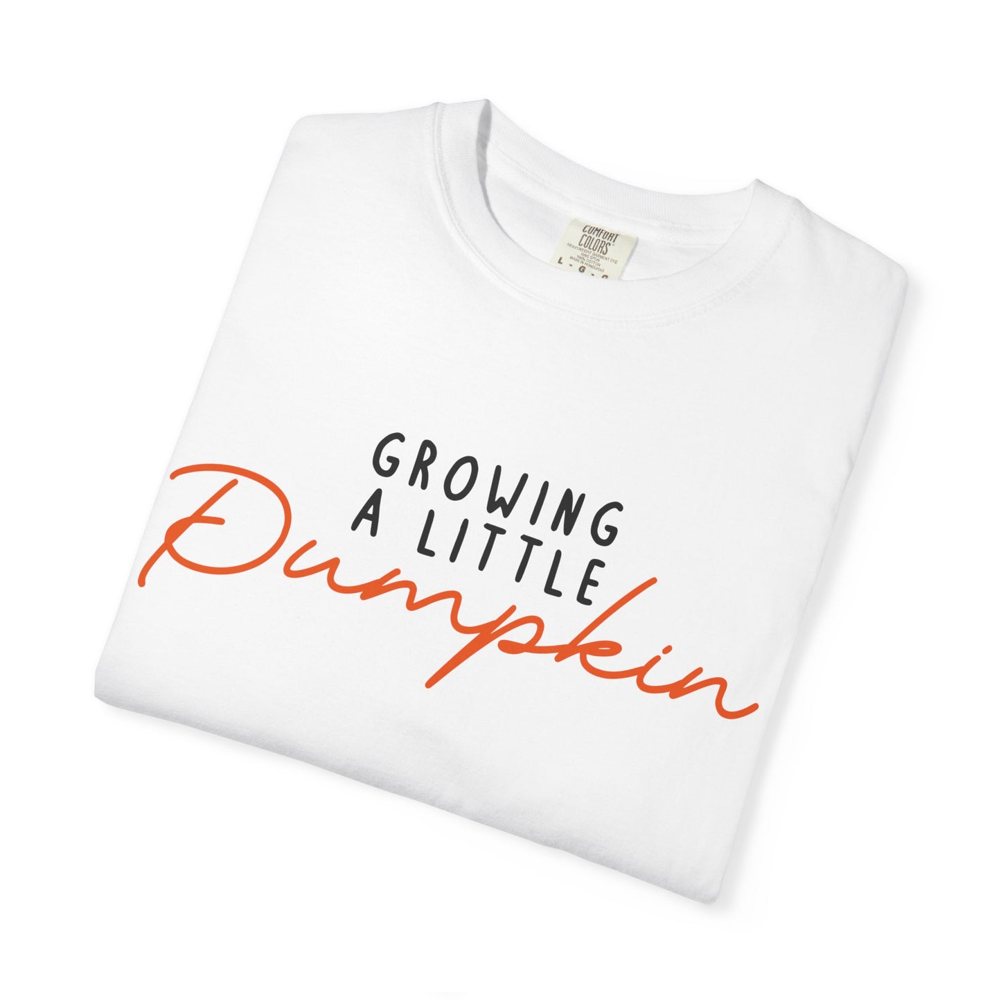 Growing a Little Pumpkin est 2026 T-Shirt Fall