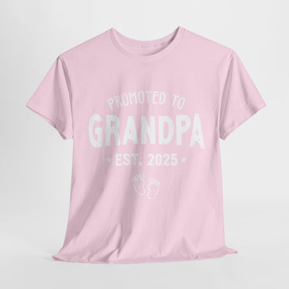 Promoted to Grandpa est 2025 T-Shirt