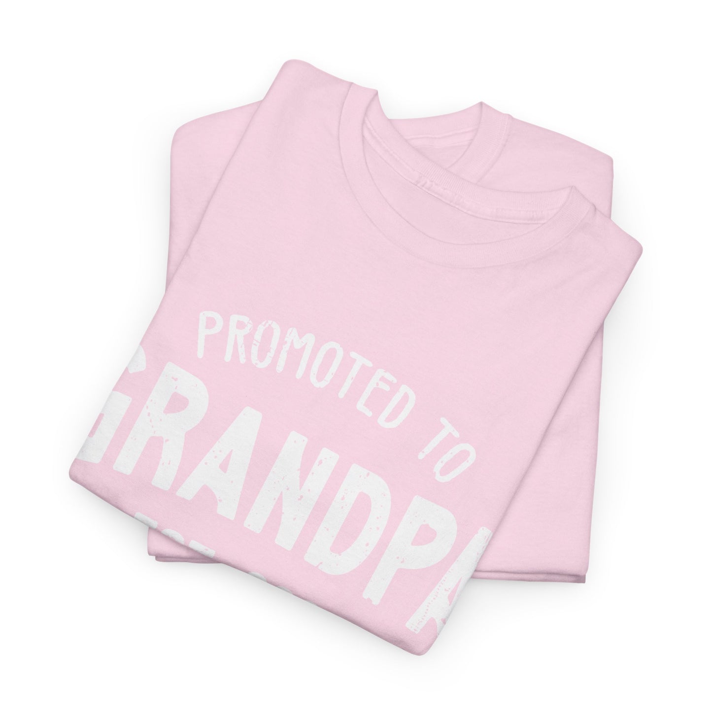 Promoted to Grandpa est 2025 T-Shirt